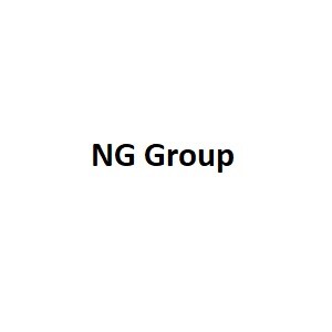 NG Group Developer Logo