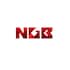 NGB Group NGB Group Developer Logo