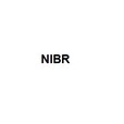 NIBR Developer Logo