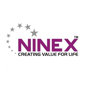 Ninex developer logo