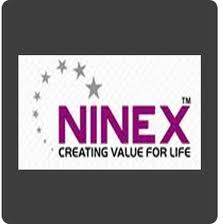 Ninex developer logo