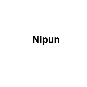 Nipun developer logo