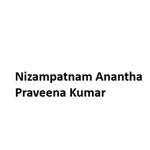 Nizampatnam Anantha Praveena Kumar developer logo