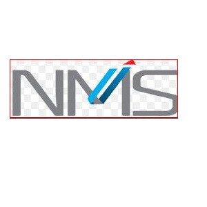 NMS Developer Logo
