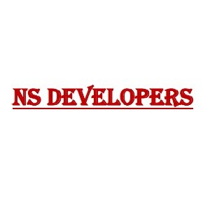 NS Developers logo