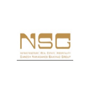 NSG Group Developer Logo