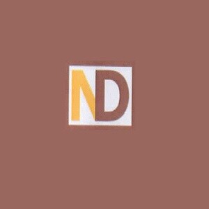 Nyas Developers logo