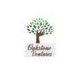 Oakstone Ventures Developer Logo