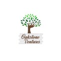 Oakstone Ventures Logo