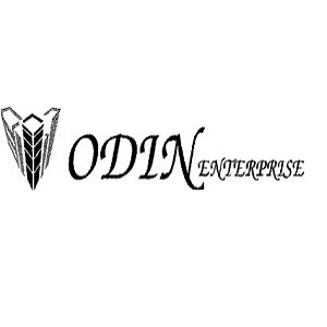 Odin Enterprise developer logo