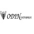 Odin Enterprise Developer Logo