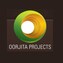 Oorjita Projects