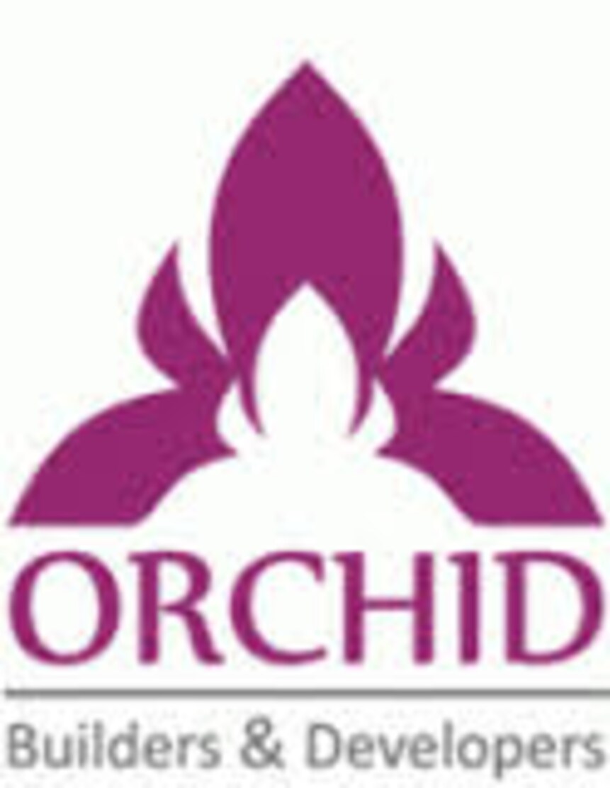 Orchid