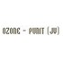 Ozone Punit JV Developer Logo
