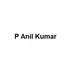 P Anil Kumar P Anil Kumar Developer Logo