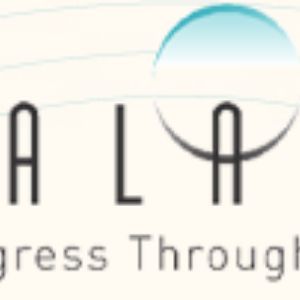 Palacio Group logo