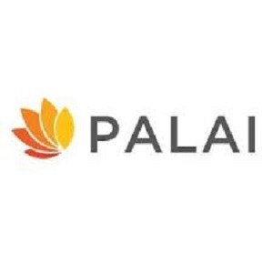 Palai Group developer logo