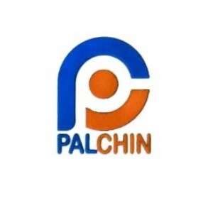 Palchin Buildtech logo