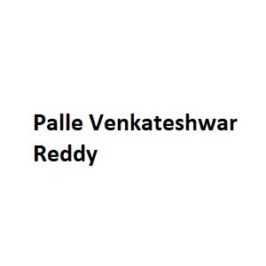 Palle Venkateshwar Reddy developer logo