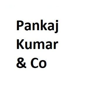 Pankaj kumar and Co developer logo