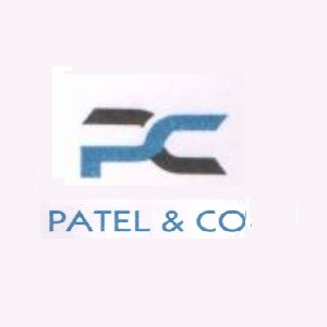 Patel And Co developer logo