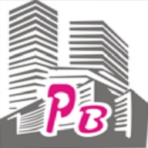 Perfect Builders Pvt Ltd logo