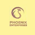 Phoenix Enterprises Thane Logo