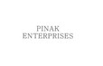 Pinak Enterprises Developer Logo