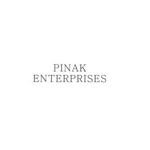 Pinak Enterprises developer logo
