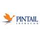 Pintail Infracon LLP