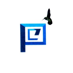 Pioneer Enterprises developer logo