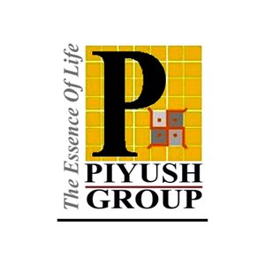 Piyush developer logo