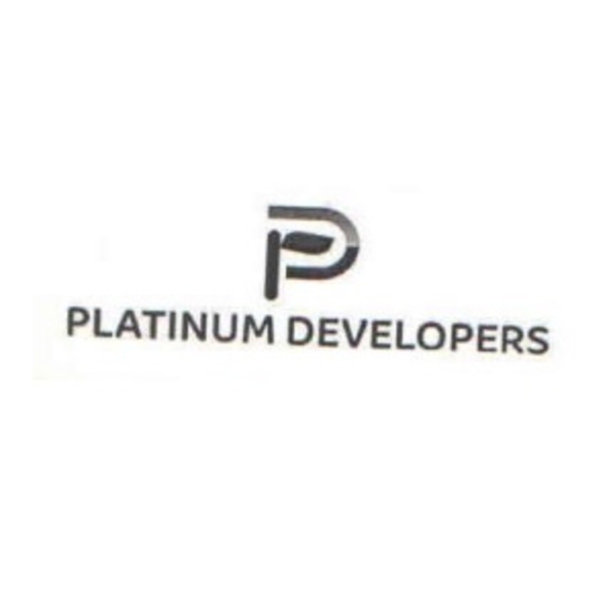 Platinum Developers