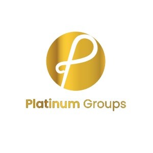 Platinum Groups Developer Logo