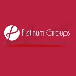 Platinum Groups Developer Logo