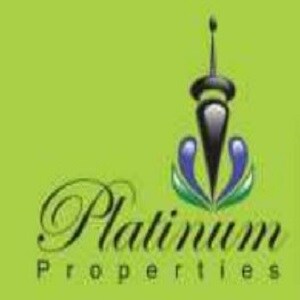 Platinum Properties Developer Logo