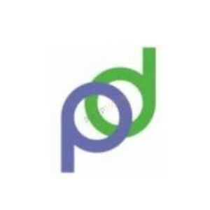 Praneel Developers Praneel Developers Developer Logo