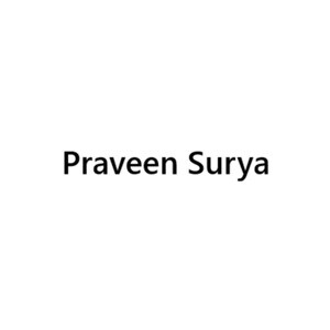 Praveen Surya Praveen Surya Developer Logo