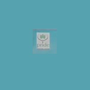 Pride Construction And Developers developer logo