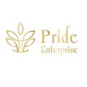 Pride Enterprises Thane Logo
