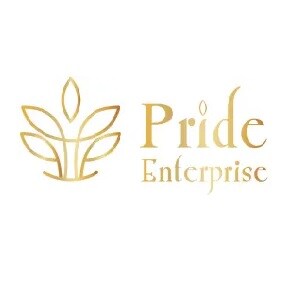 Pride Enterprises Thane developer logo
