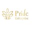 Pride Enterprises Thane