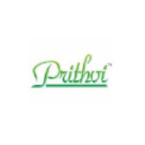 Prithvi Group