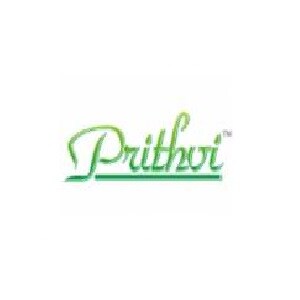 Prithvi Group Developer Logo