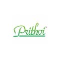 Prithvi Group Logo