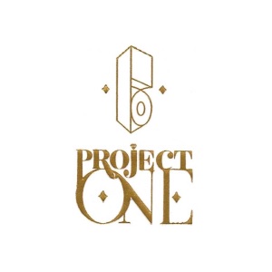 Project One Builders And Developers