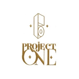 Project One Builders And Developers Logo