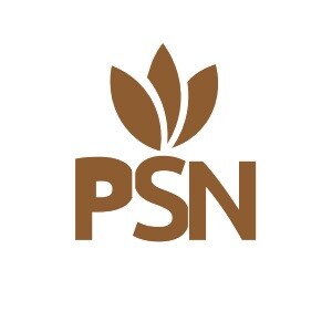 PSN Builders Bangalore developer logo