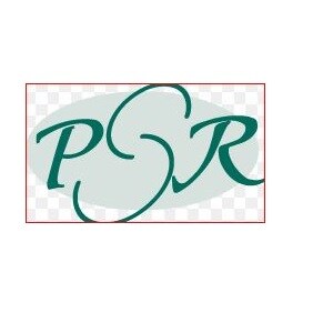 Psr Group developer logo