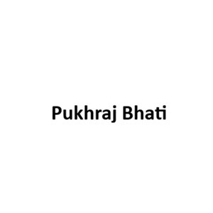 Pukhraj Bhati Developer Logo